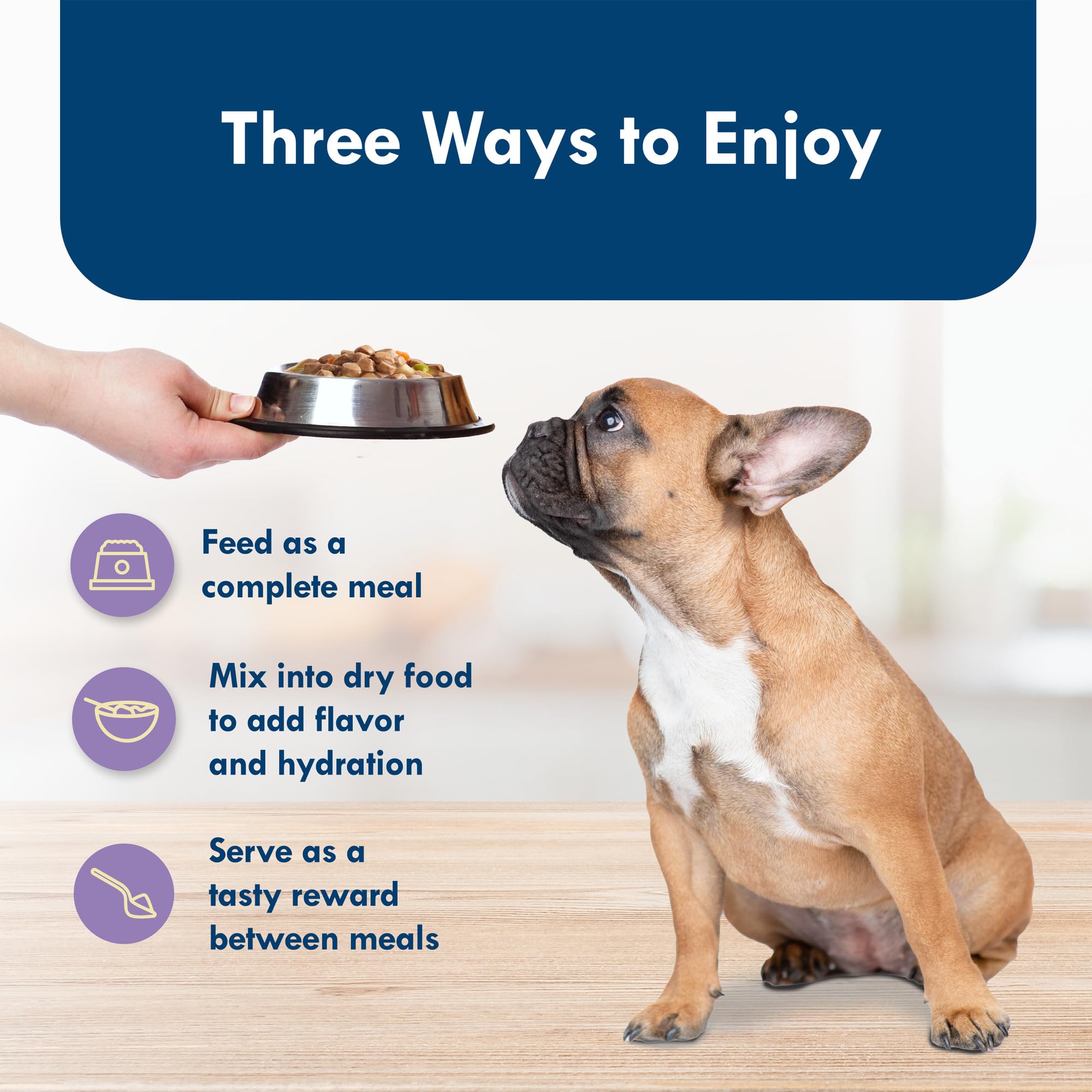 Blue Buffalo Delights – Petit chien dégustant le pâté, moment de plaisir partagé.
