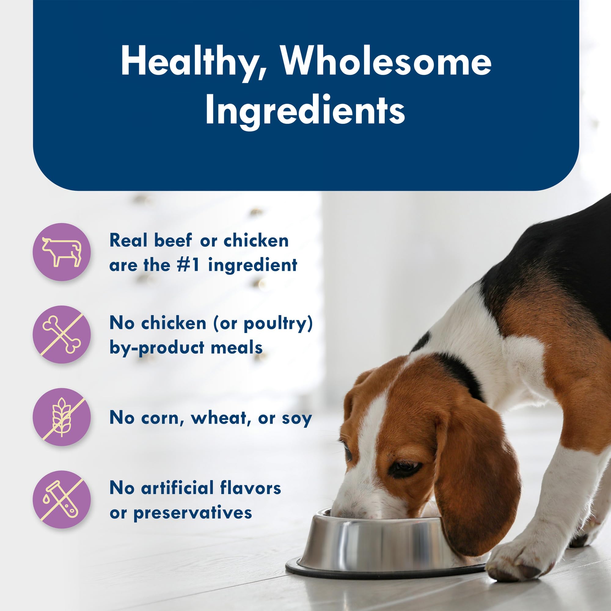 Blue Buffalo Delights sans artificiels ni conservateurs pour une alimentation simple.
