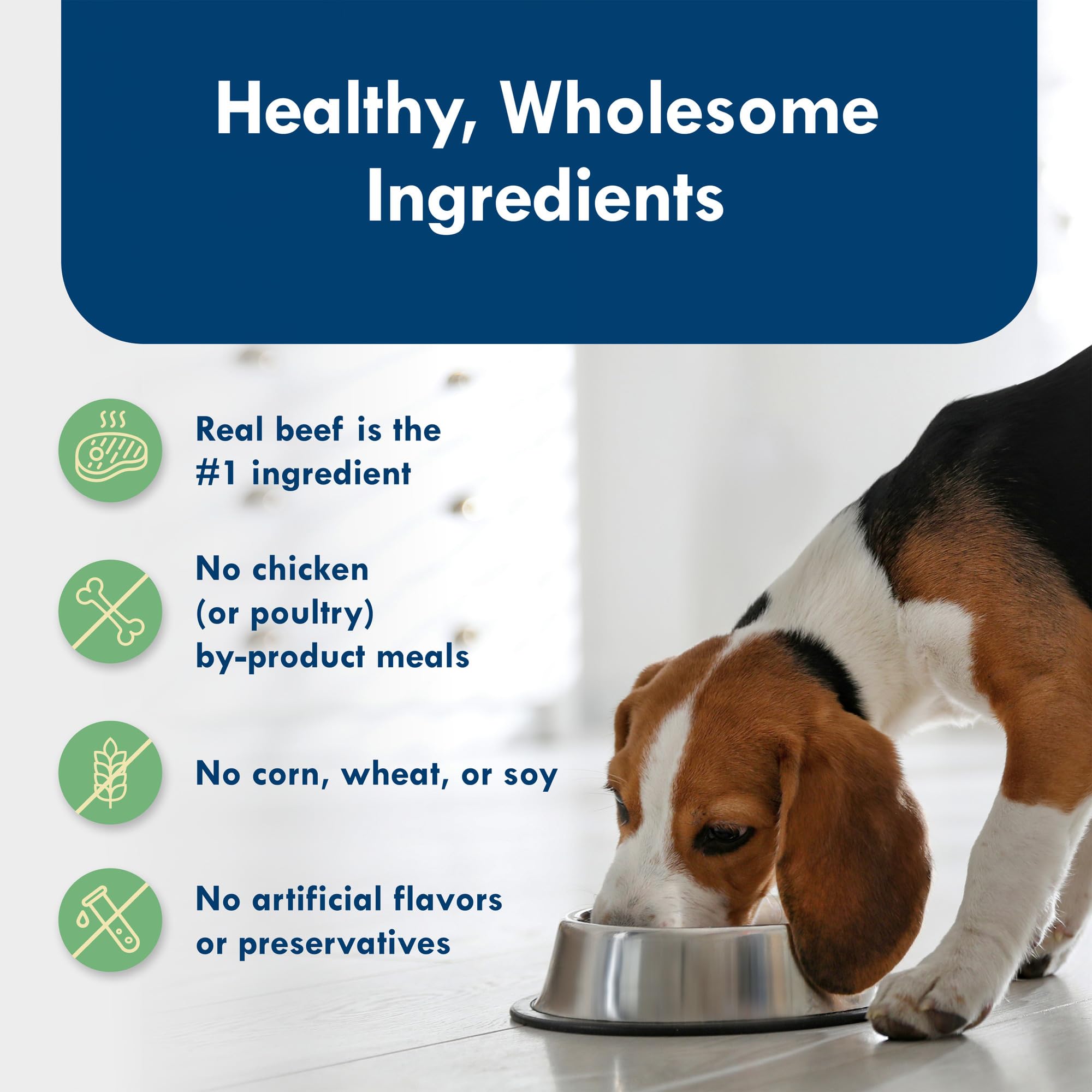 Blue Buffalo Delights sans poulet ni sous-produits animaux pour petit chien.