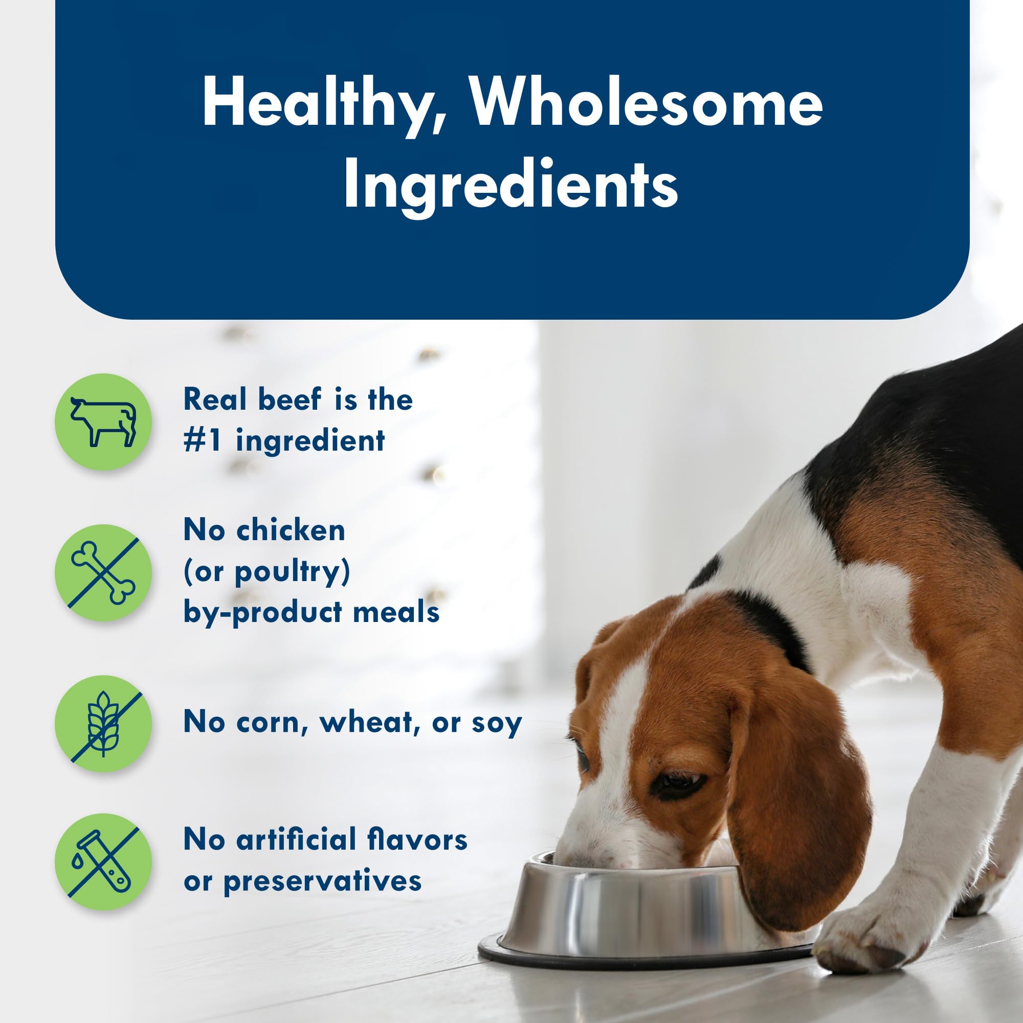 Blue Buffalo Delights sans poulet, choix protéiné pour petits chiens.