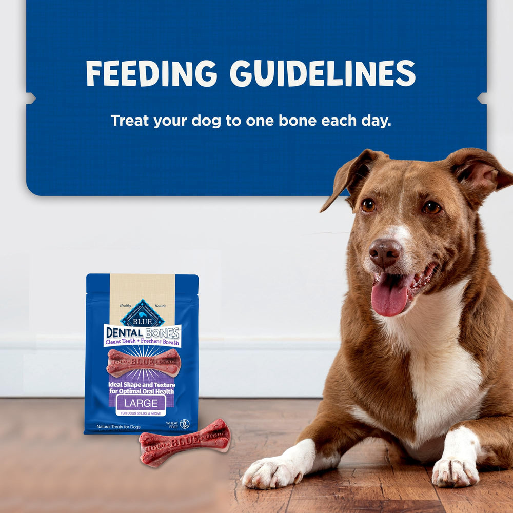 Blue Buffalo Dental Bones, goût naturel apprécié par les chiens.