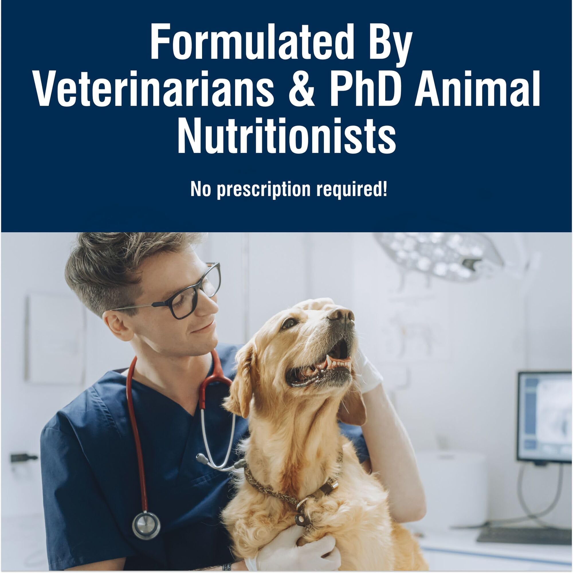 Blue Buffalo True Solutions Digestive Care — grains entiers, source d'énergie durable.