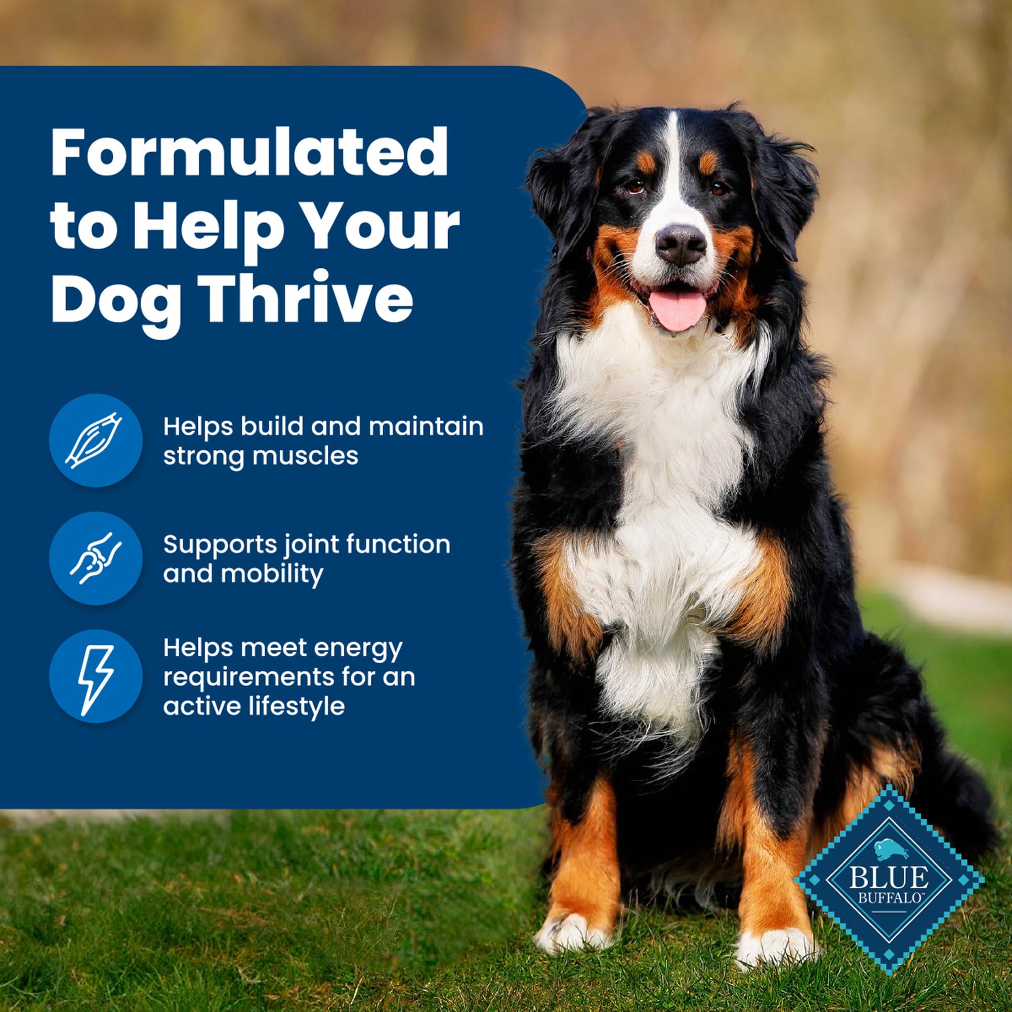 Blue Buffalo Life Protection Formula: équilibre saveur et nutrition pour chiens adultes.