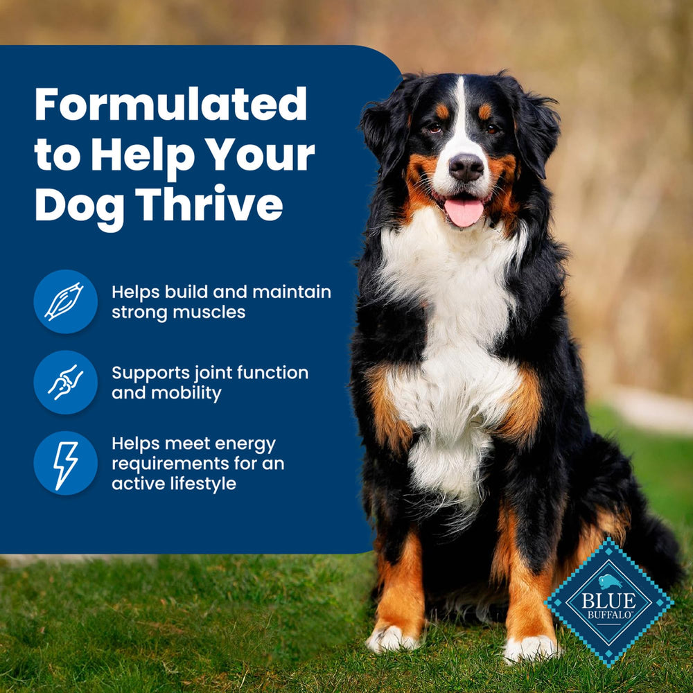 Blue Buffalo Life Protection Formula: équilibre saveur et nutrition pour chiens adultes.