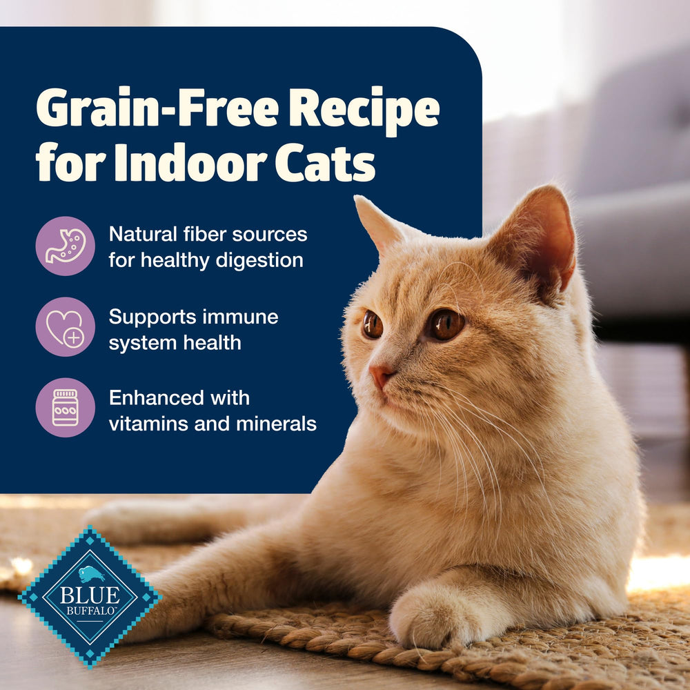 Chat adulte en interieur recevant Blue Buffalo Freedom pour un repas quotidien.