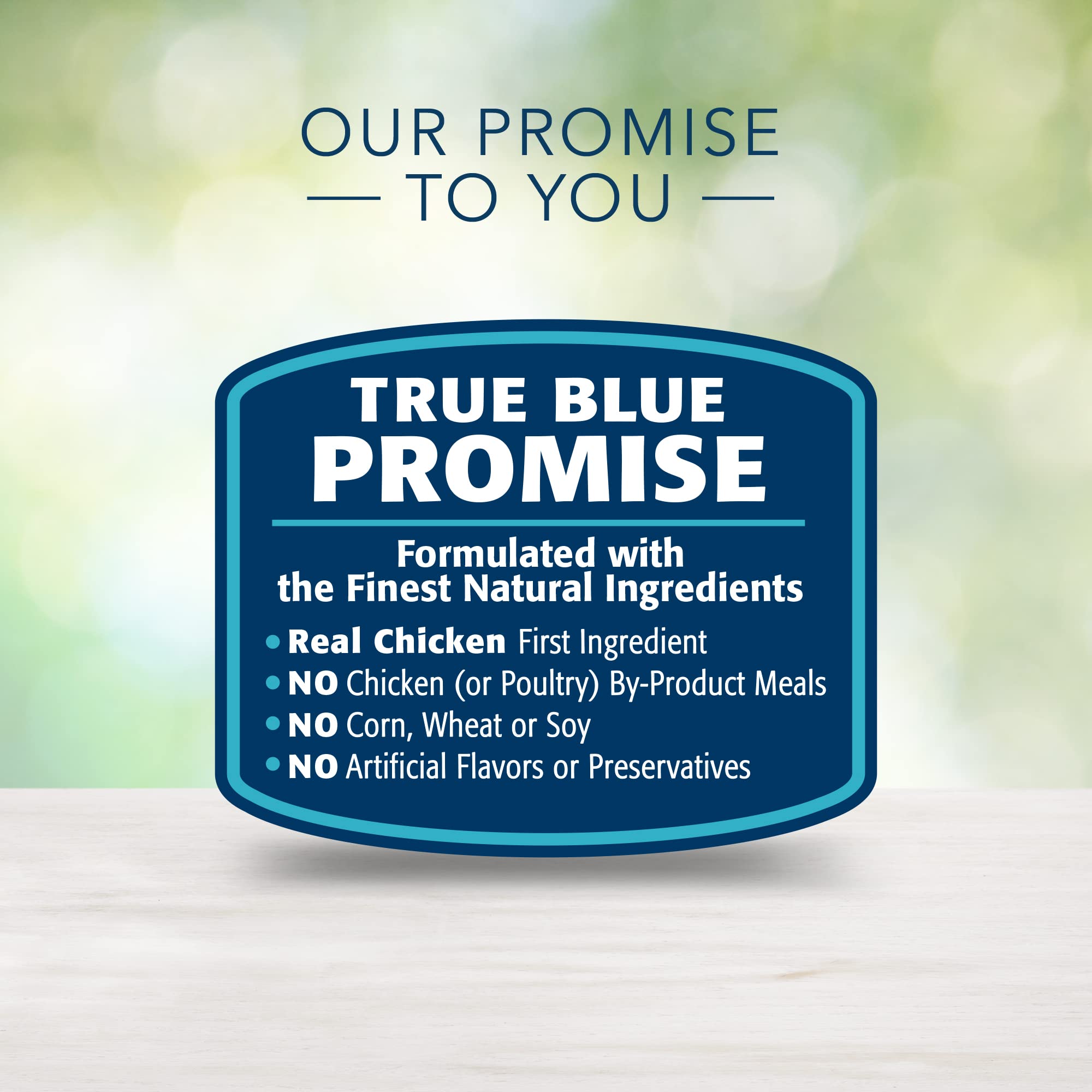 Recette poulet pâté Blue Buffalo Freedom pour chat