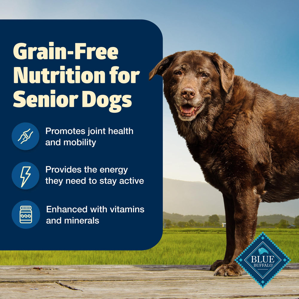 Blue Buffalo Freedom Senior: soutien des articulations avec glucosamine et chondroitine.
