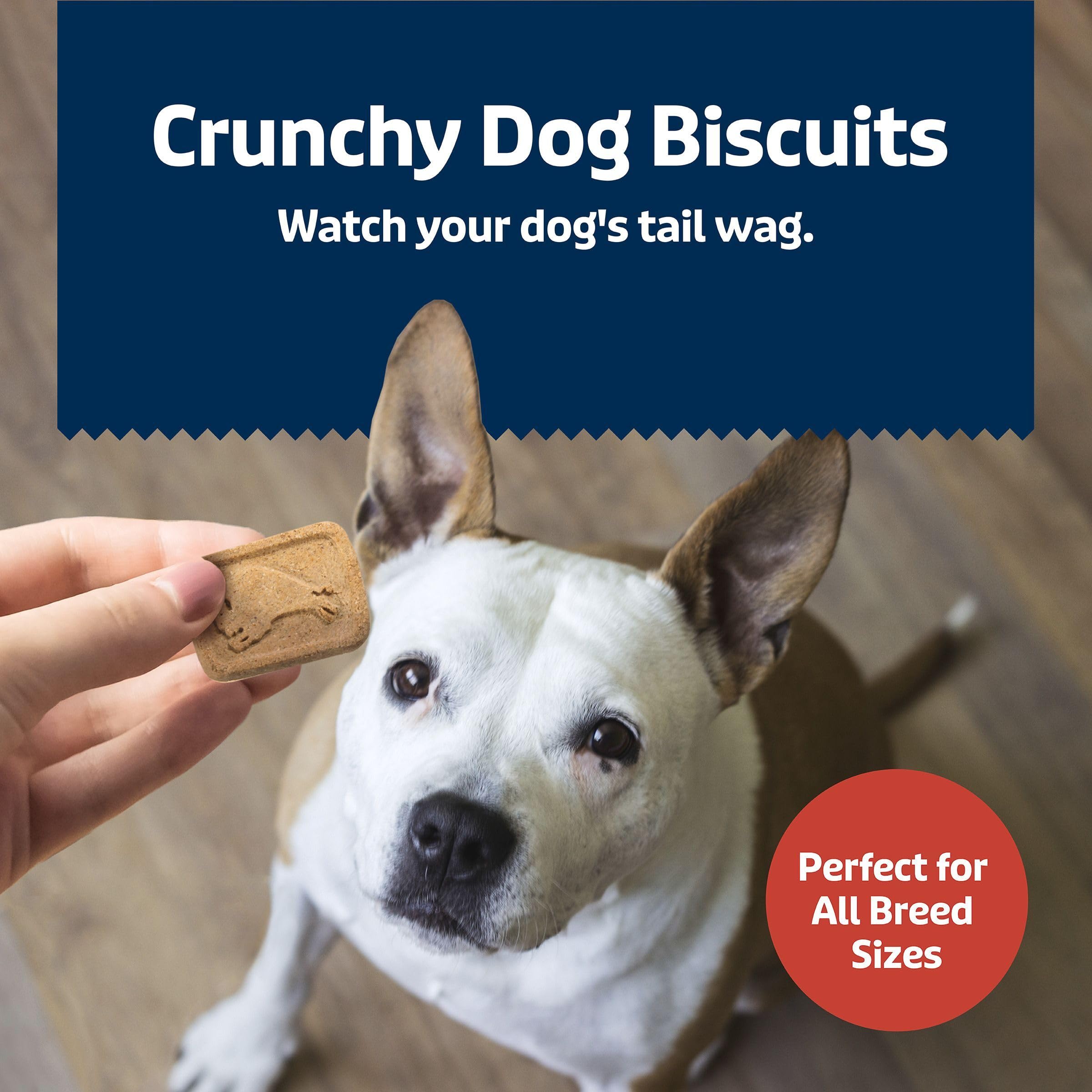 Blue Buffalo Health Bars : ingrédients naturels et grains entiers pour chien.
