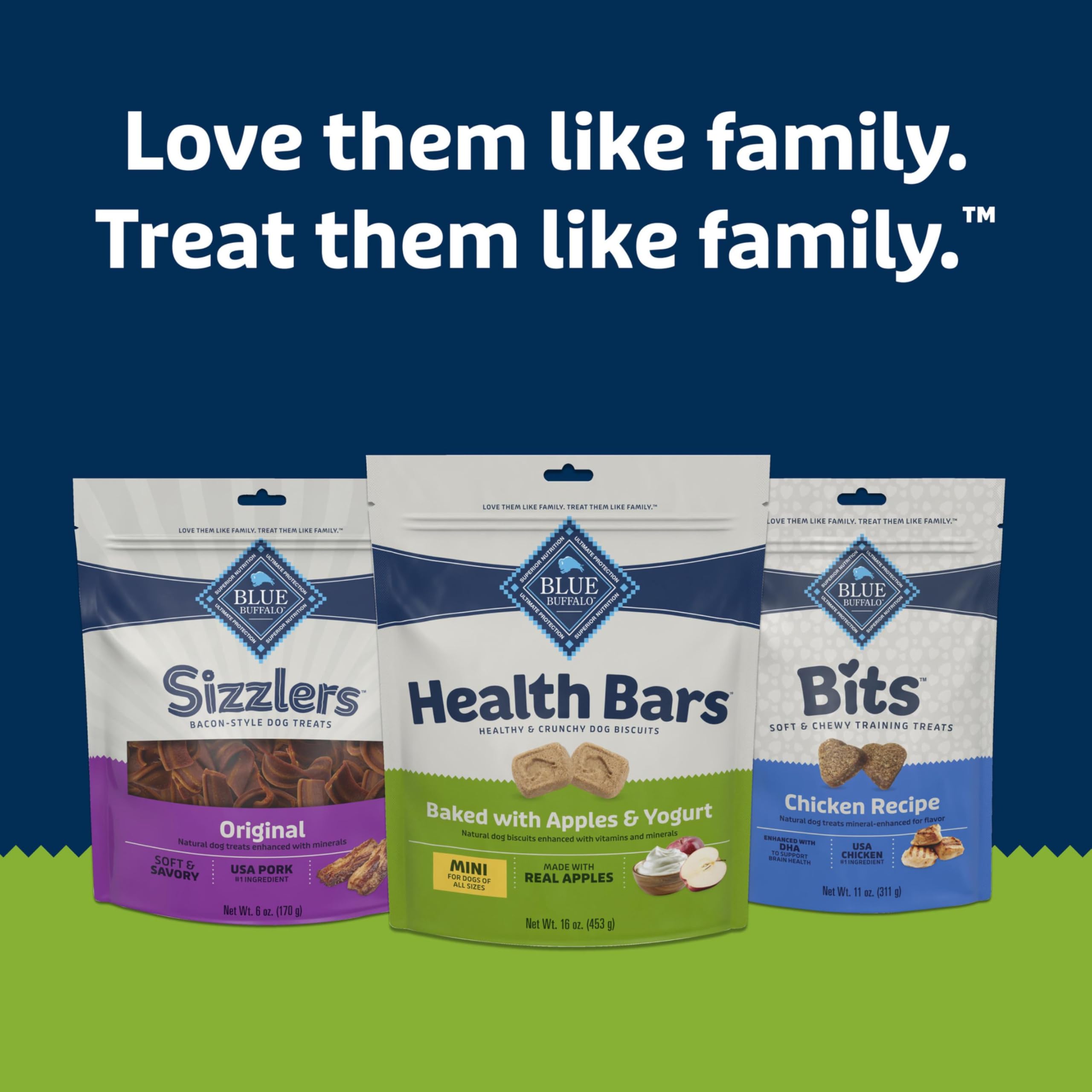 Blue Buffalo Health Bars Mini paquet 16 oz, convient à tous les chiens