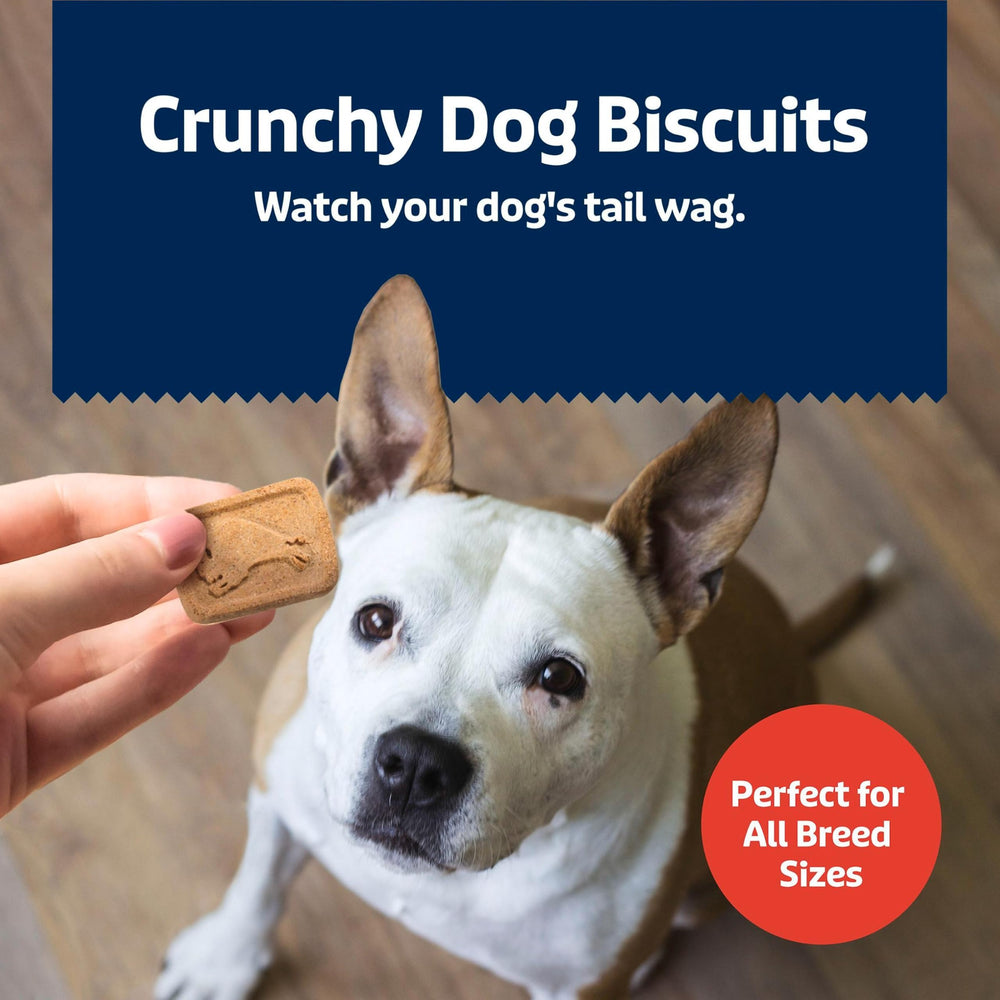 Friandises sans céréales, adaptées pour chiens sensibles