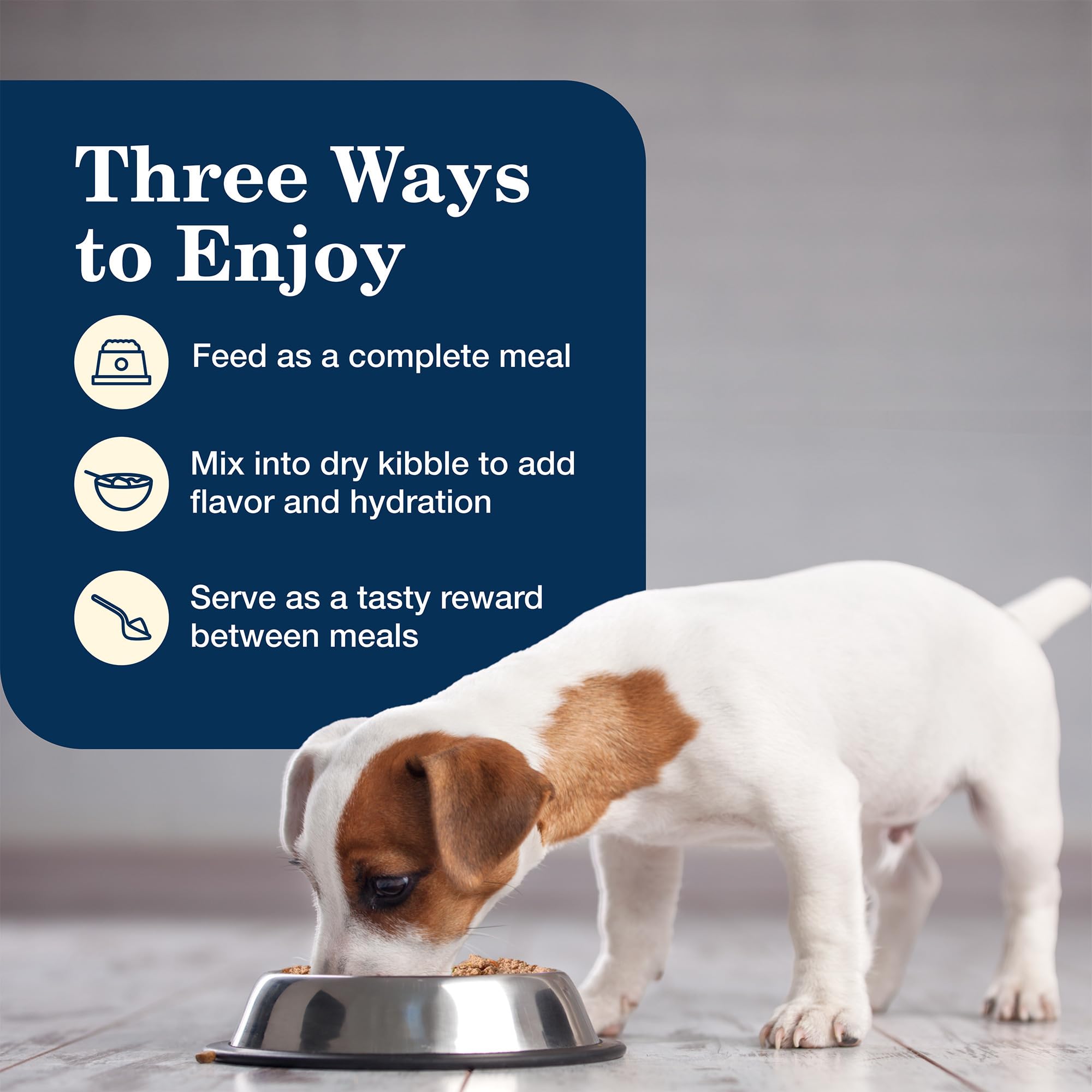 Blue Buffalo Homestyle Puppy: trois façons de servir le repas.