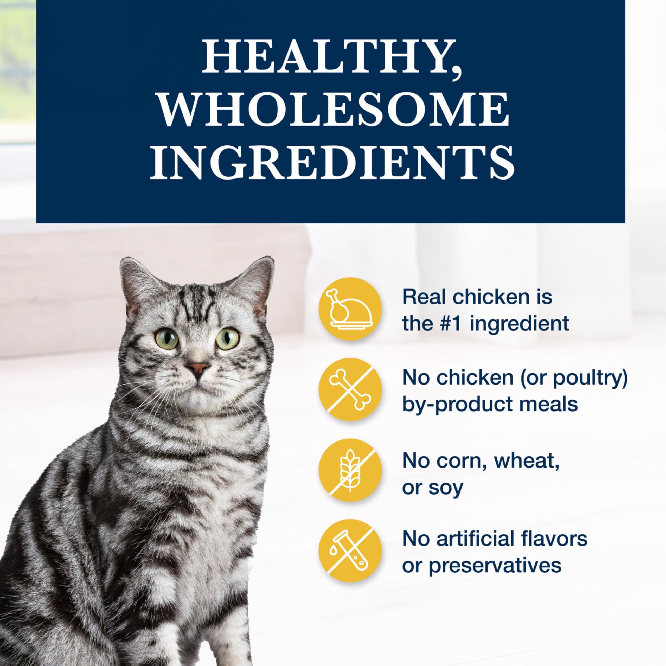 Blue Buffalo K+M sans céréales et sans arômes artificiels pour chat.