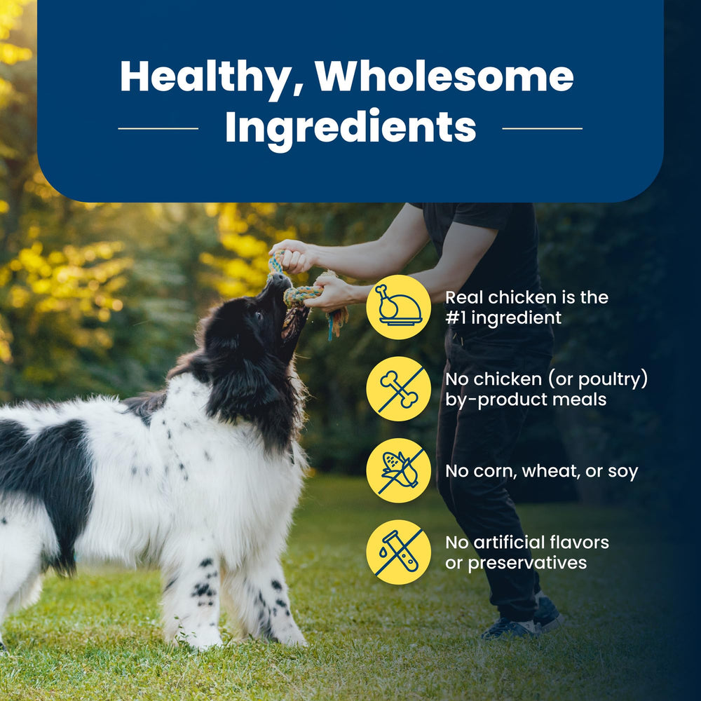 Blue Buffalo Life Protection Formule: étiquette nutritionnelle claire pour chien et famille.