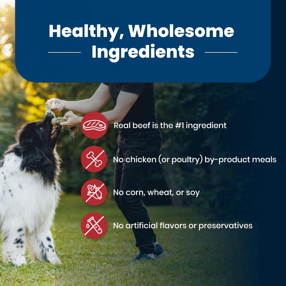 Blue Buffalo Life Protection Formula protéines et glucides équilibrés pour énergie et maintien
