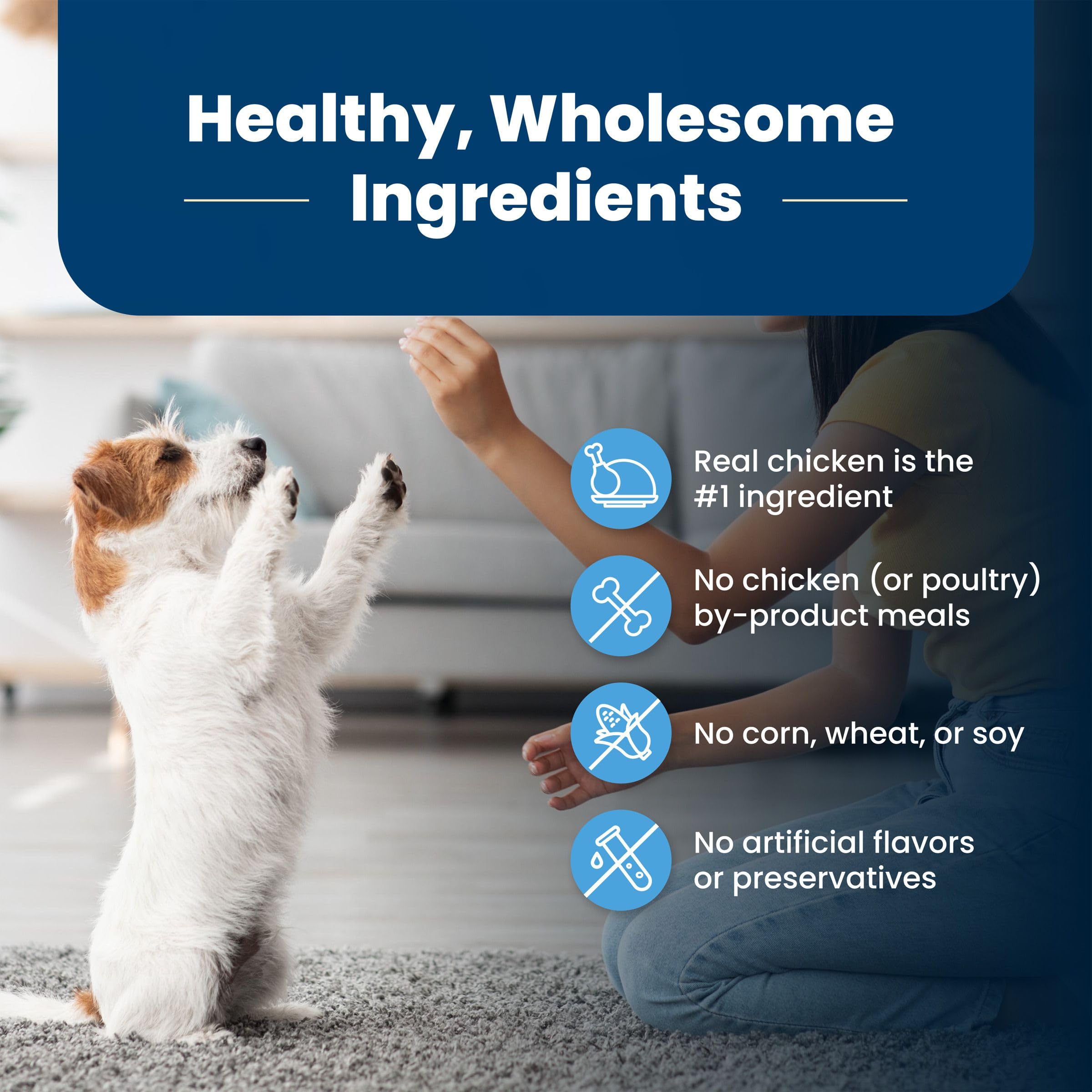Blue Buffalo Life Protection Formula Chiot - sans sous-produits de volaille, ingrédients nets.