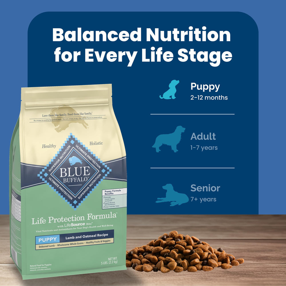 Blue Buffalo Life Protection Puppy DHA et ARA, soutien potentiel au développement.