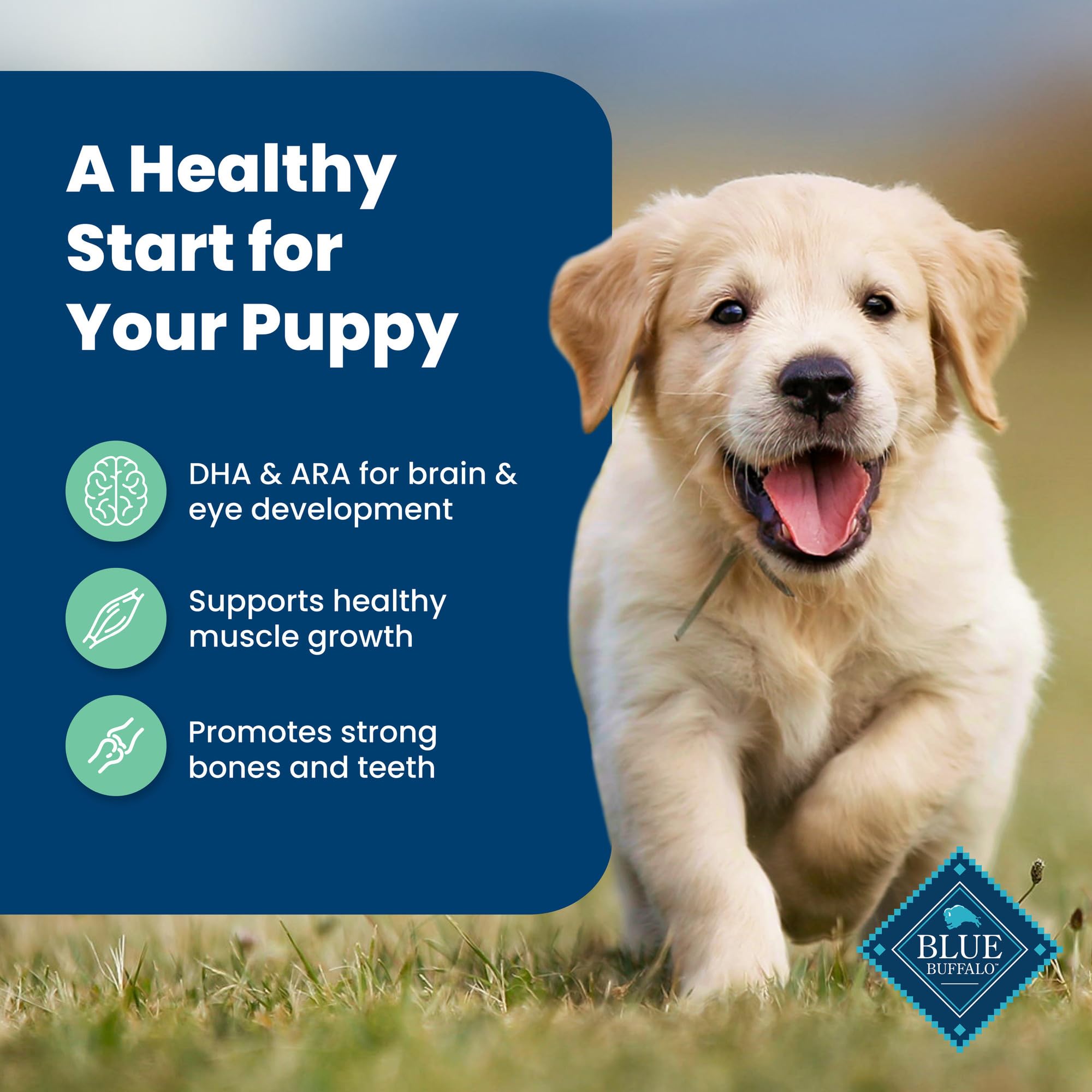 Blue Buffalo Life Protection Puppy DHA et ARA, soutiennent le développement visuel et cognitif.