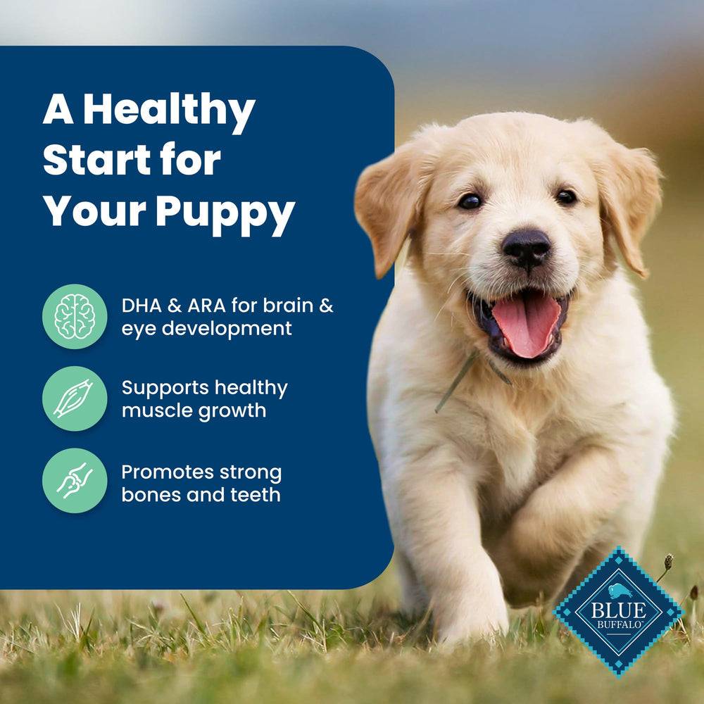 Blue Buffalo Life Protection Puppy DHA et ARA, soutiennent le développement visuel et cognitif.