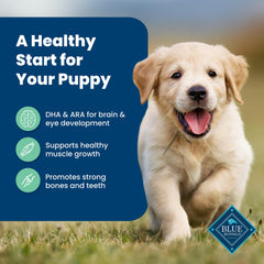 Blue Buffalo Life Protection Puppy DHA et ARA, soutiennent le développement visuel et cognitif.