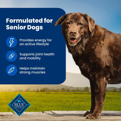 Blue Buffalo Life Protection Senior — glucosamine et chondroïtine pour les articulations.