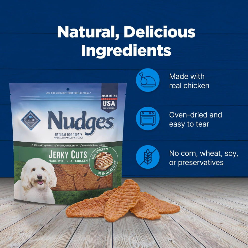 Paquet Nudges Jerky de 16 onces pratique pour la maison et les déplacements
