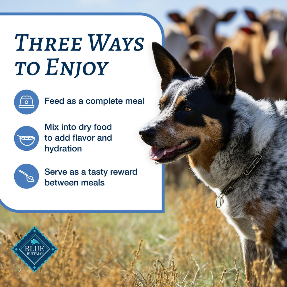 Blue Buffalo: repas humide complet pour chien adulte, prêt à servir.