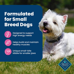 Blue Buffalo croquettes – énergie quotidienne pour petits chiens.