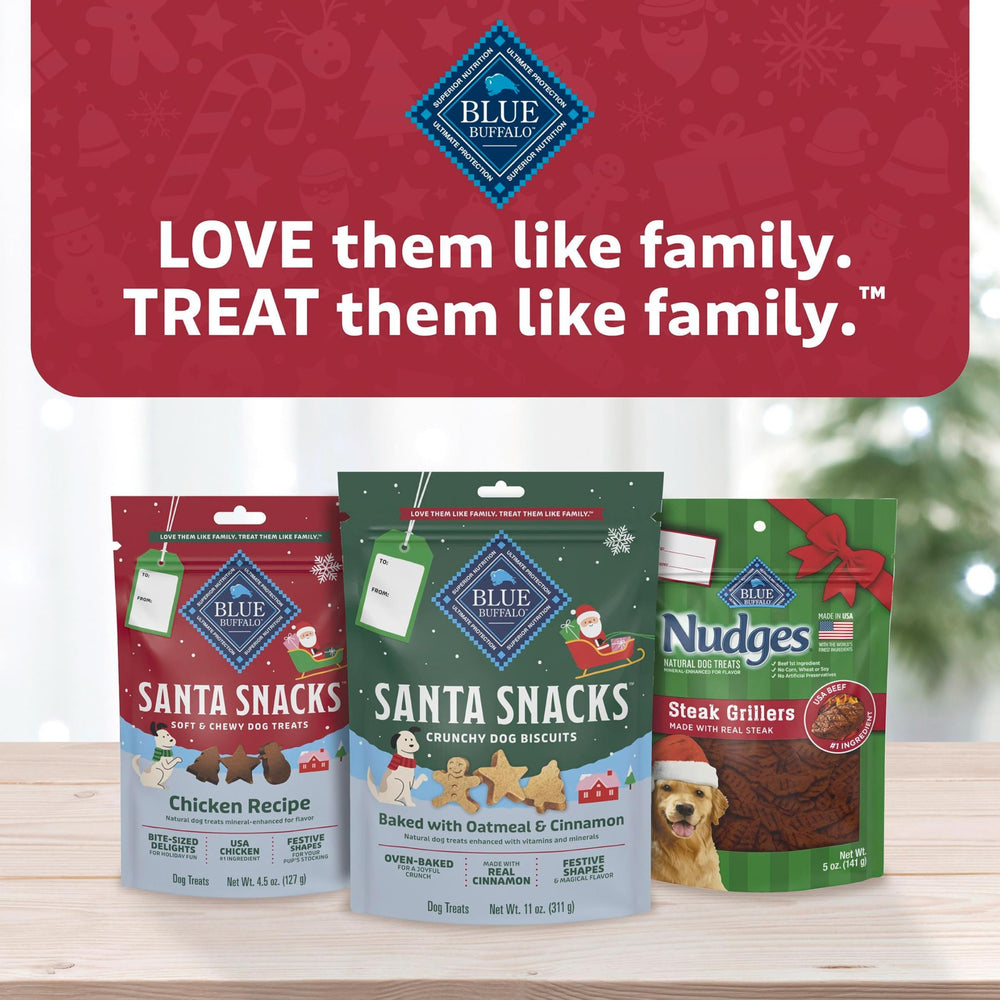 Blue Buffalo Santa Snacks sachet de 4,5 onces prêt à emporter.