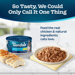 Blue Buffalo Tastefuls chat mange en sauce, moment de repas savoureux