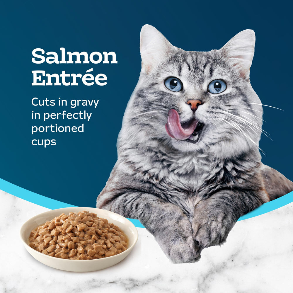 Blue Buffalo Tastefuls nourriture humide chat en jus et saveur saumon