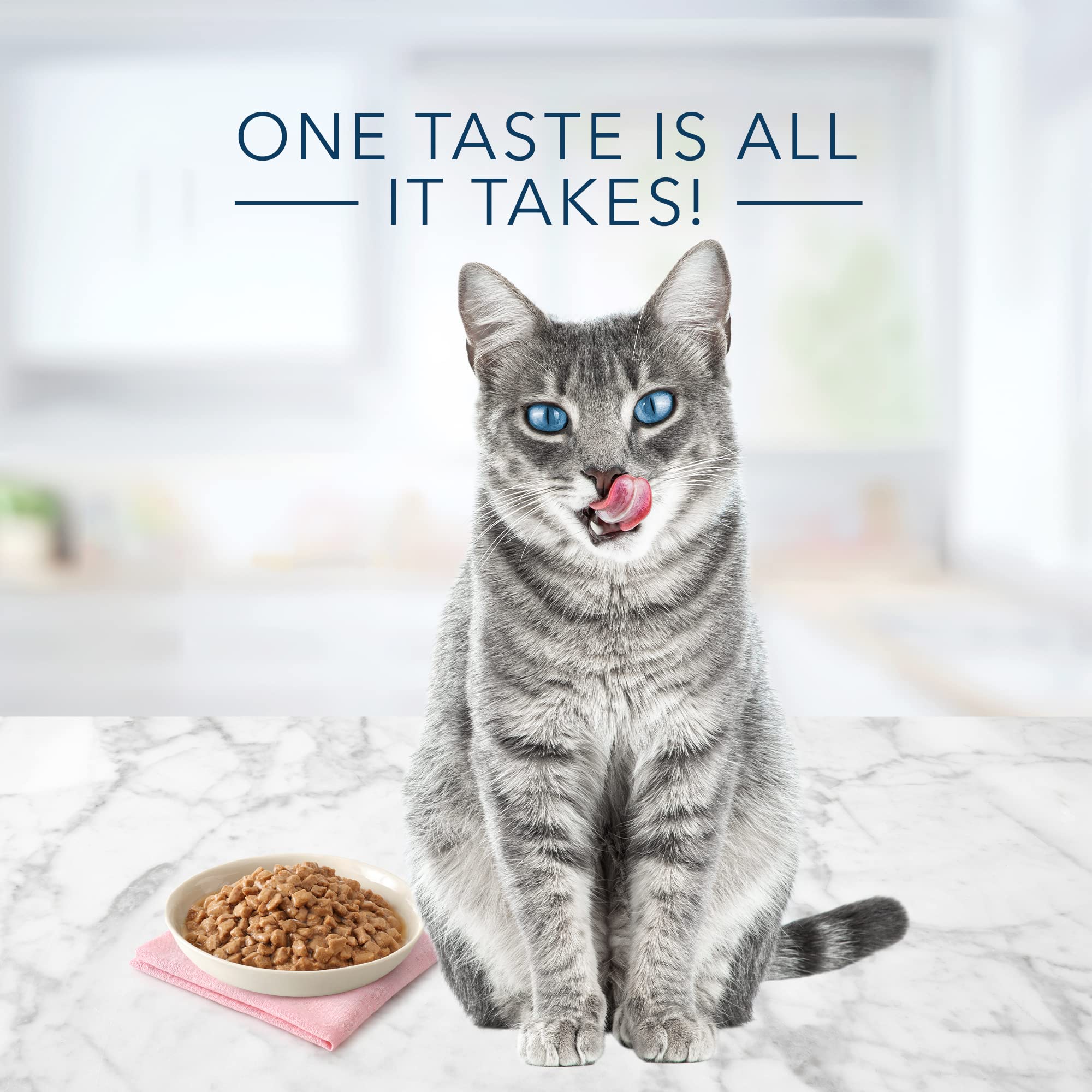 Blue Buffalo Tastefuls: nourriture humide pour chat au poulet, entrée savoureuse et pratique en boîte.