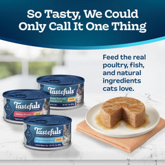 Blue Buffalo Tastefuls pâté poisson de mer : texture lisse et appétit soutenu.