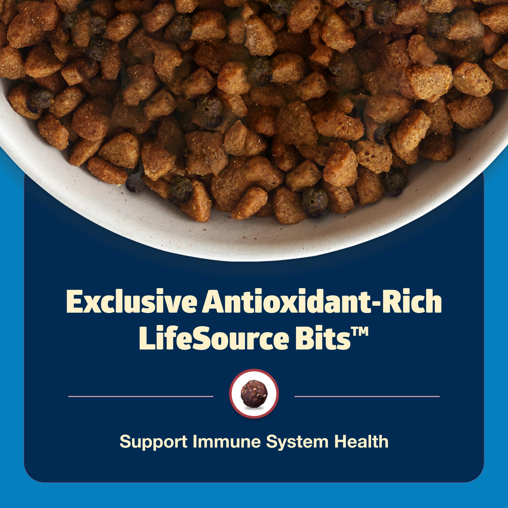 Blue Buffalo texture croquettes ferme et croquante.