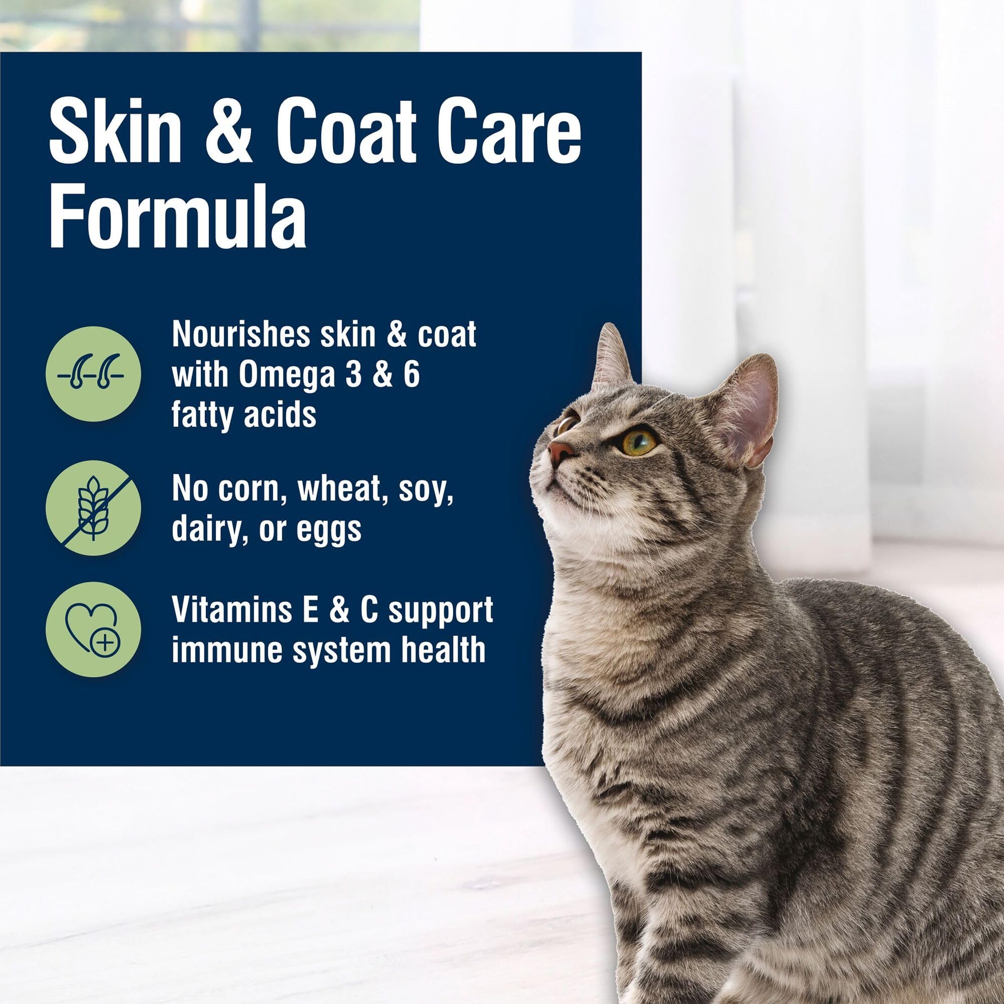 Blue Buffalo True Solutions sans poulet – formule adaptée aux chats sensibles.