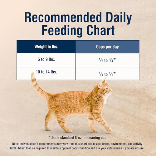 Blue Buffalo True Solutions usage quotidien – routine adaptée aux chats adultes.