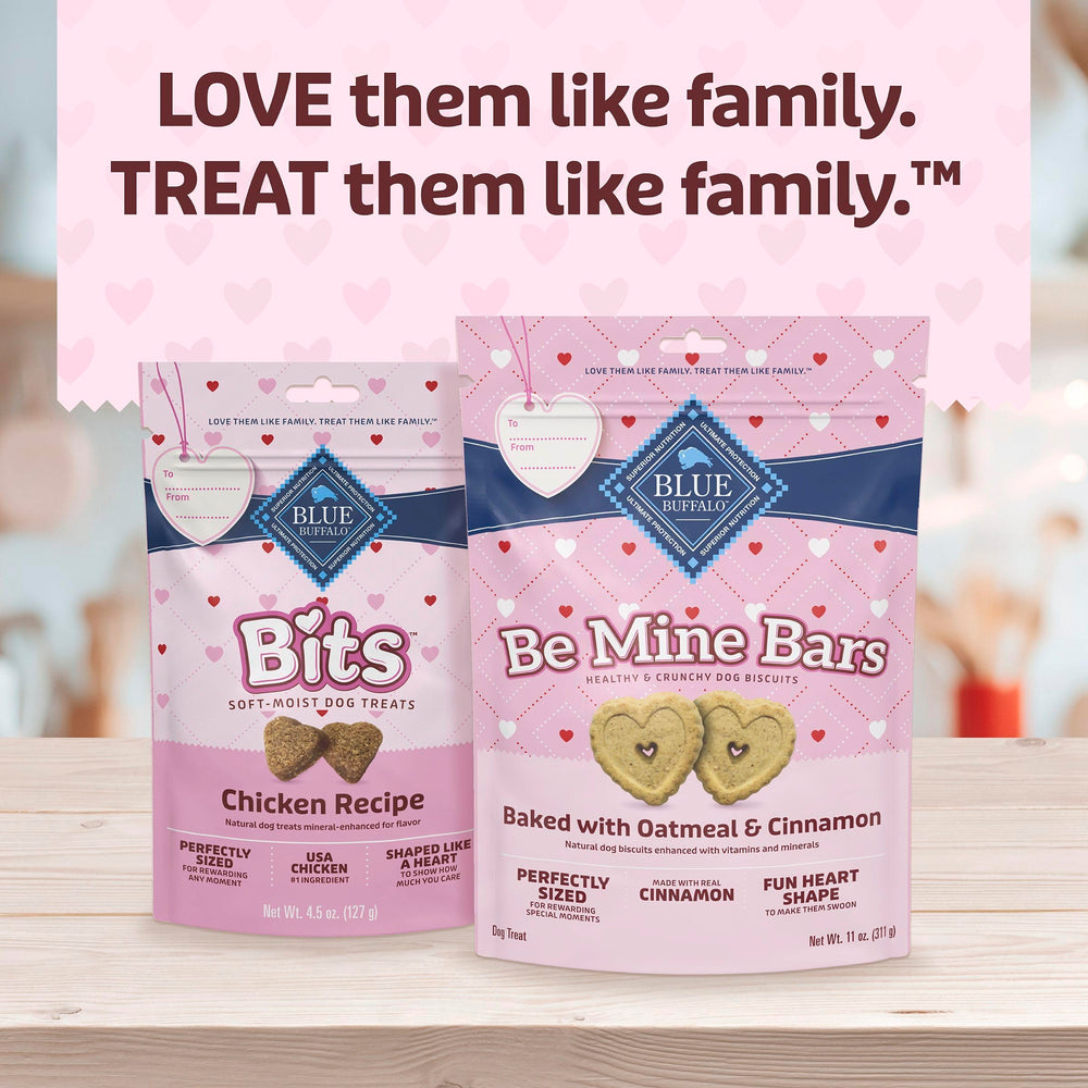 Blue Buffalo Valentines Bits, édition Saint-Valentin limitée pour les moments spéciaux.