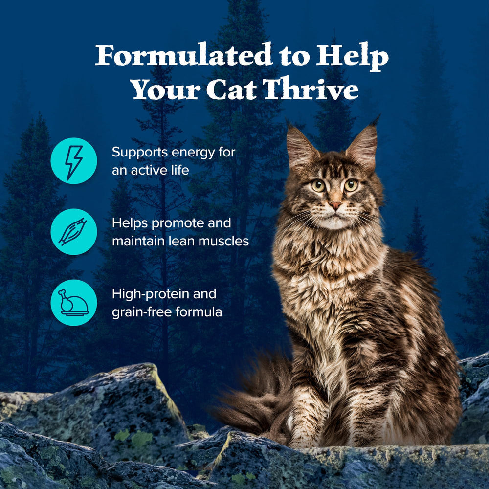 Blue Buffalo Wilderness: boîte de 3 oz prête à servir pour chat