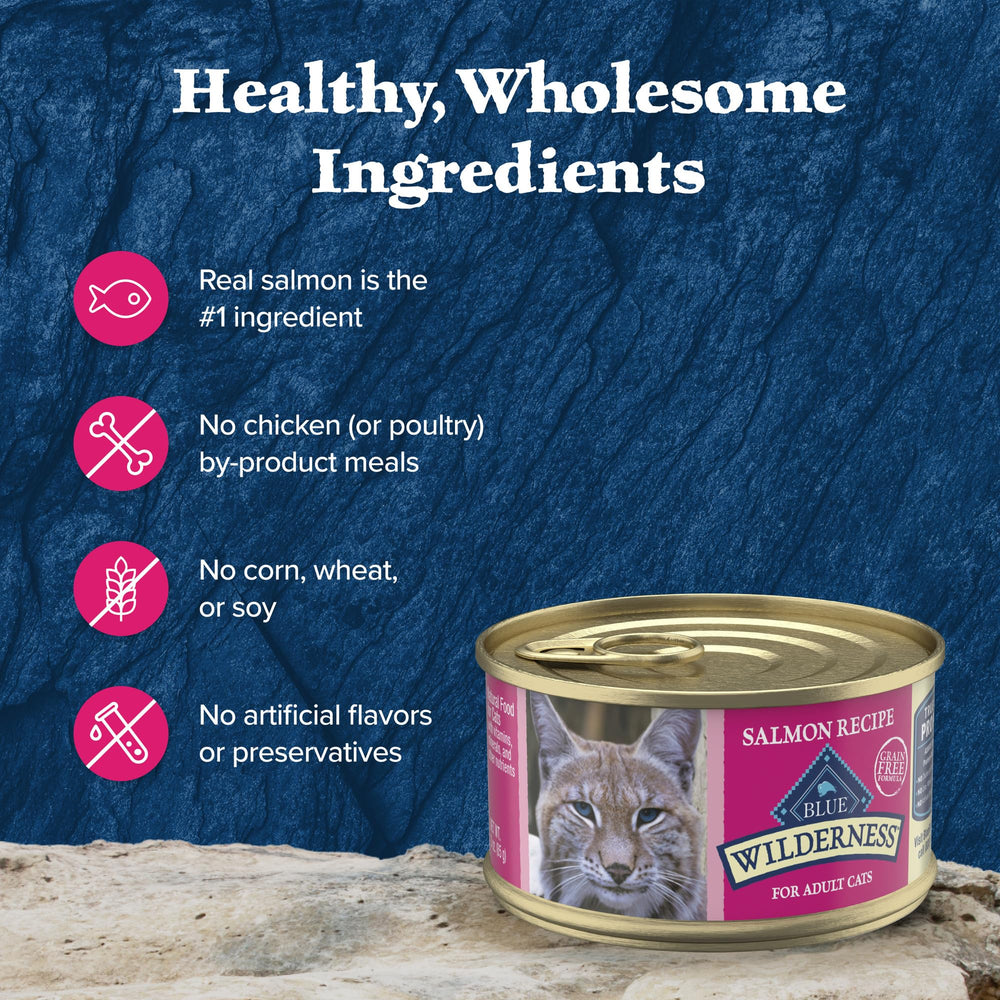Chat adulte actif appréciant Blue Buffalo Wilderness