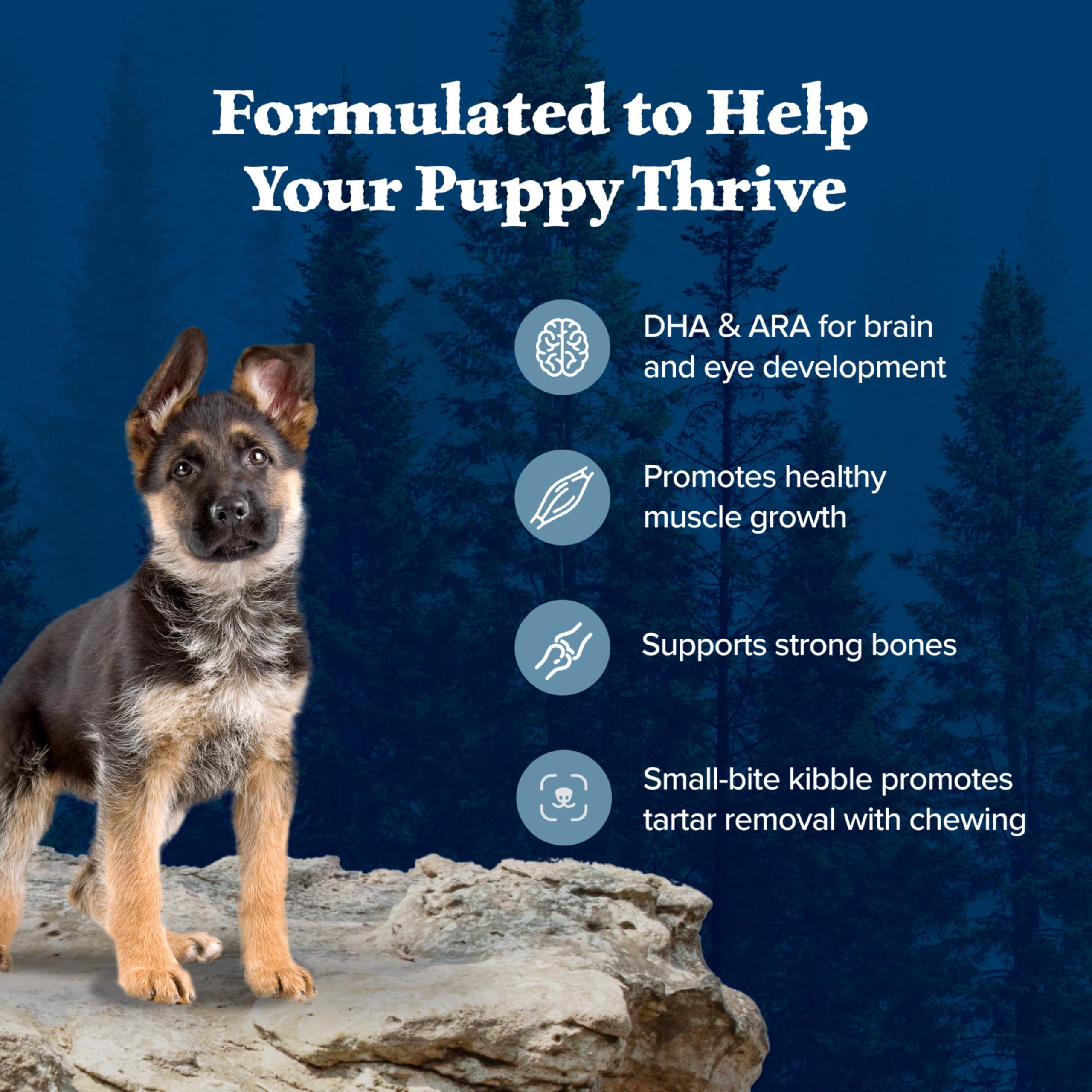 Blue Buffalo Wilderness chiot ingrédients naturels enrichis en vitamines et minéraux