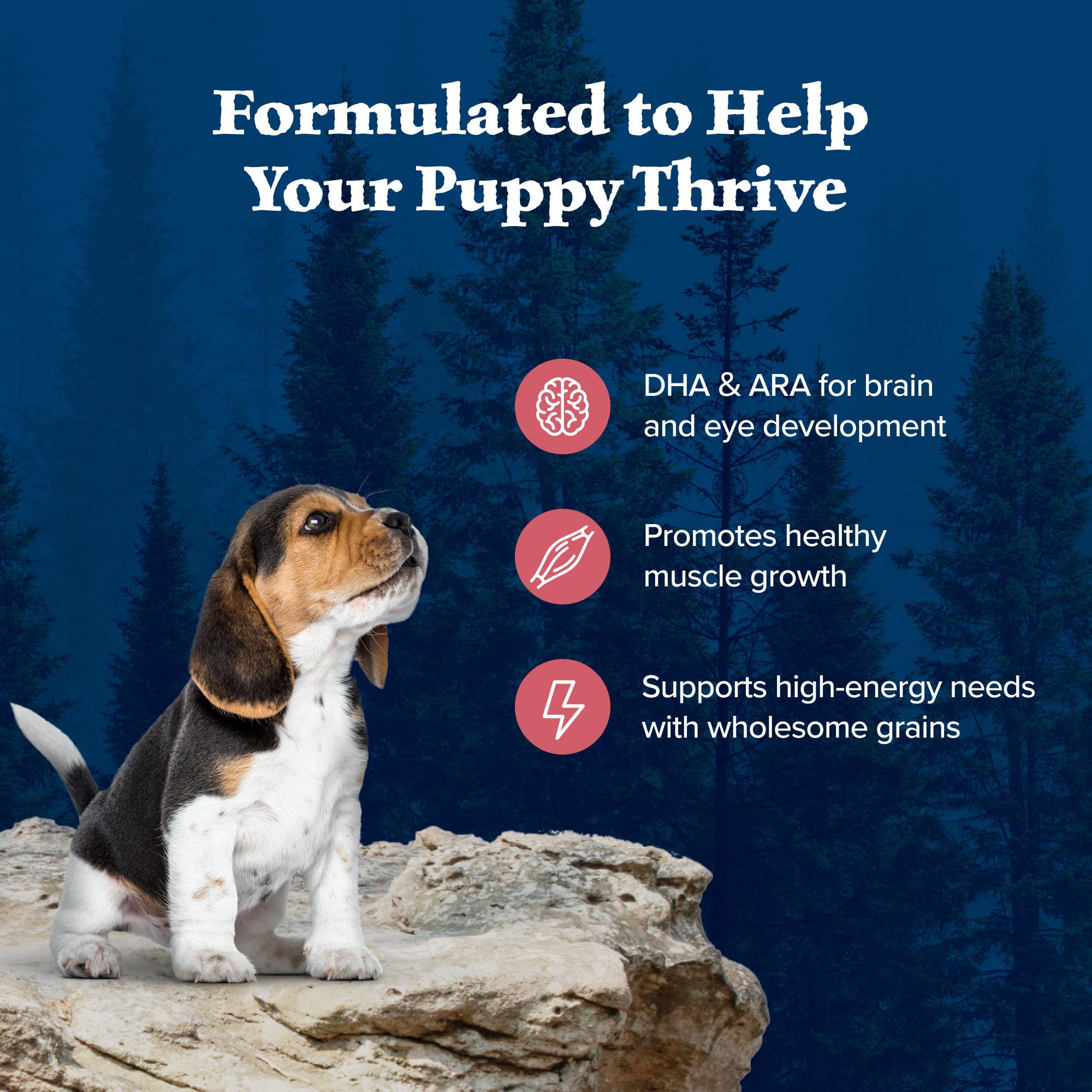 Blue Buffalo Wilderness chiot: LifeSource Bits soutiennent le système immunitaire.