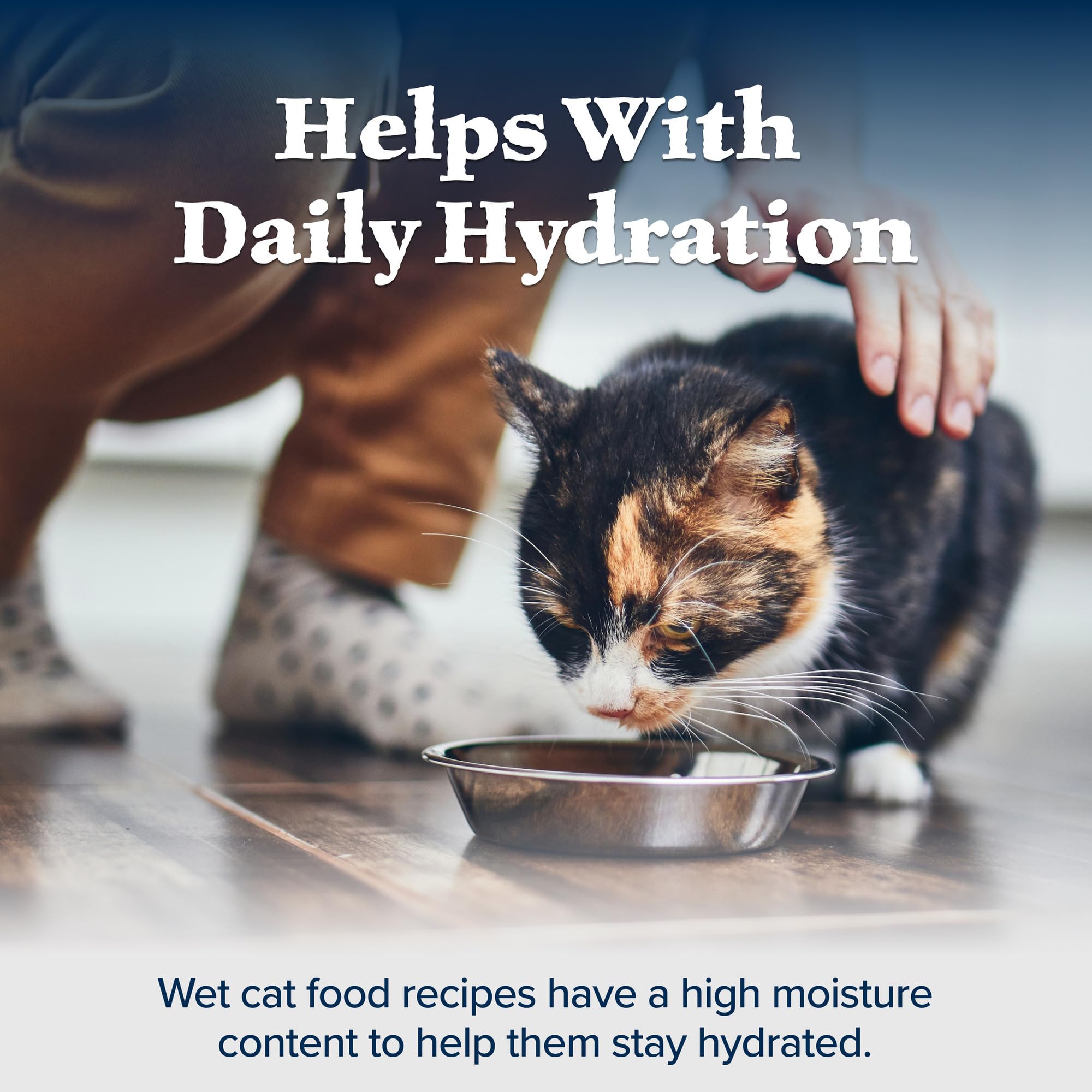 Blue Buffalo Wilderness emballage bleu: présentation claire des ingrédients.