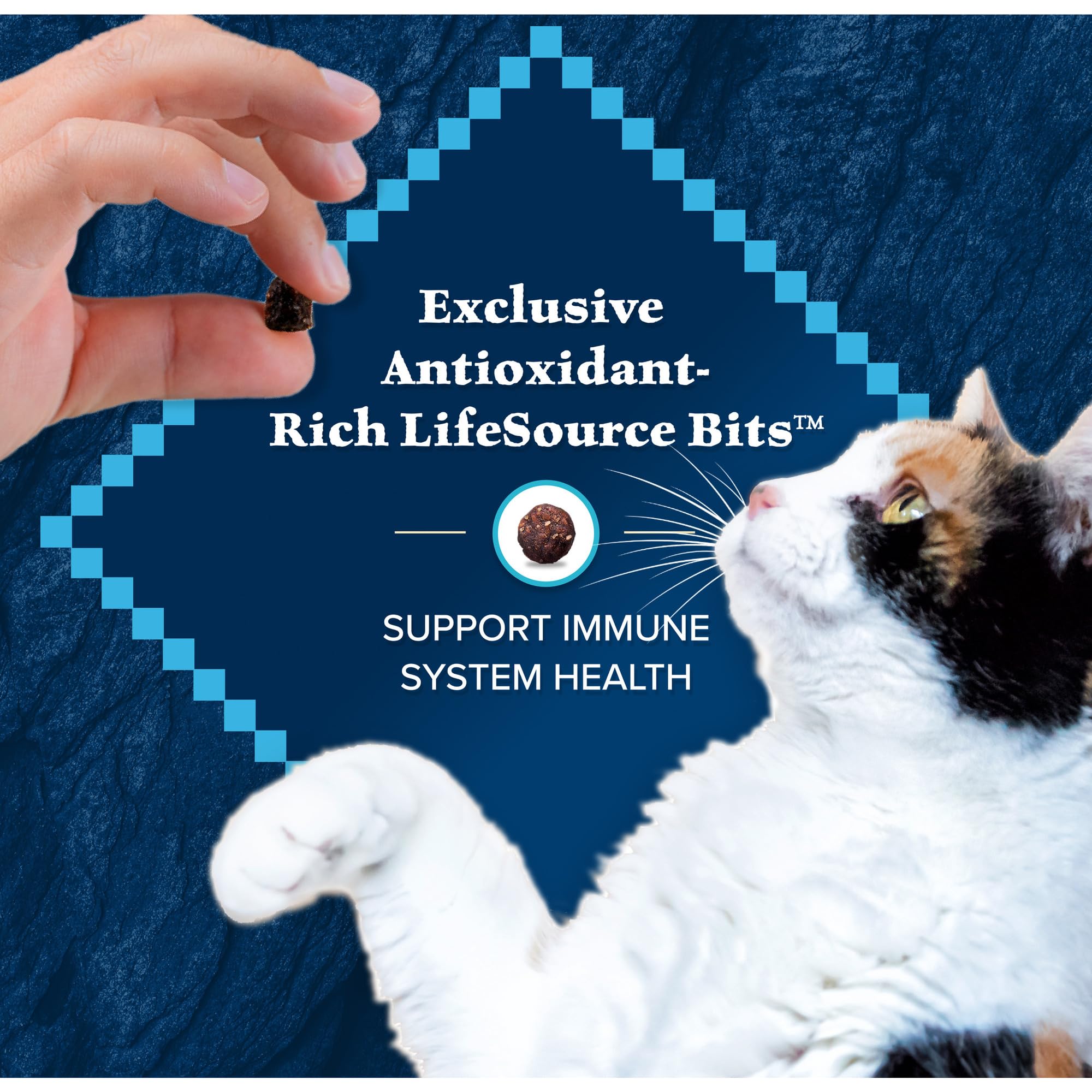 Haute protéine et énergie adaptée aux chats actifs.