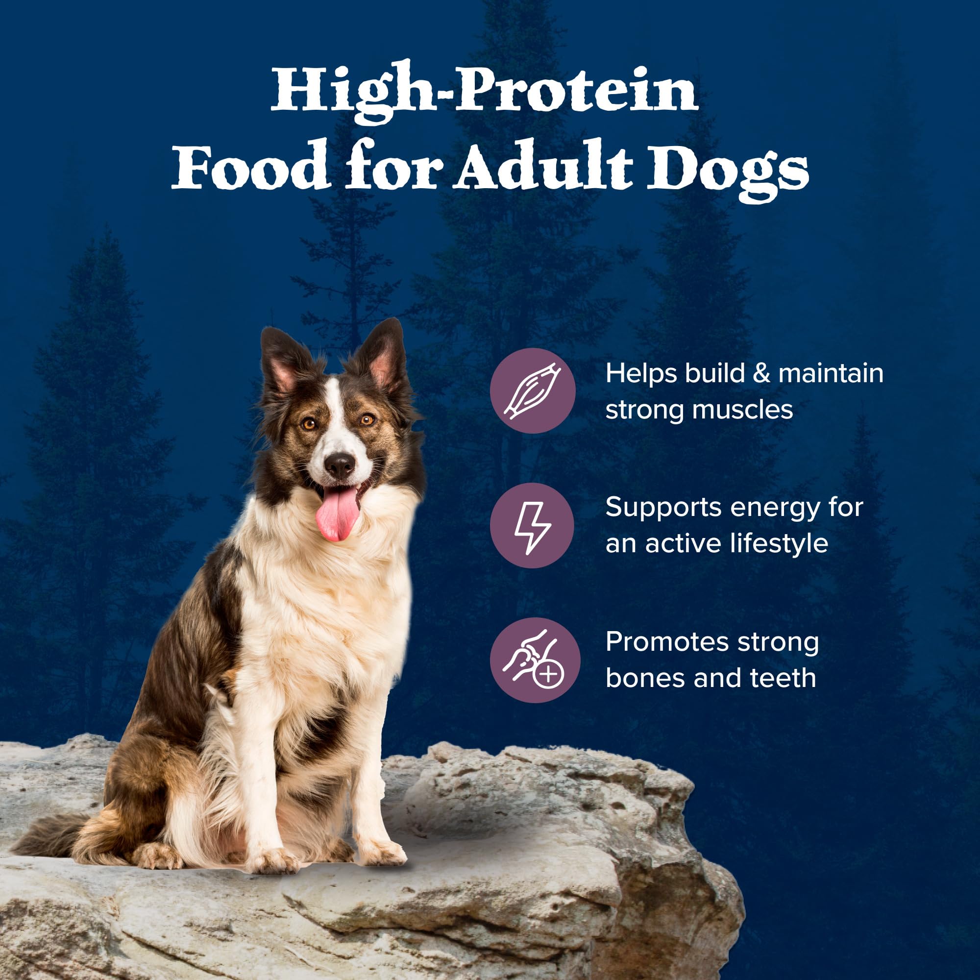 Blue Buffalo Wilderness ingrédients naturels sans poulet ni sous-produits.