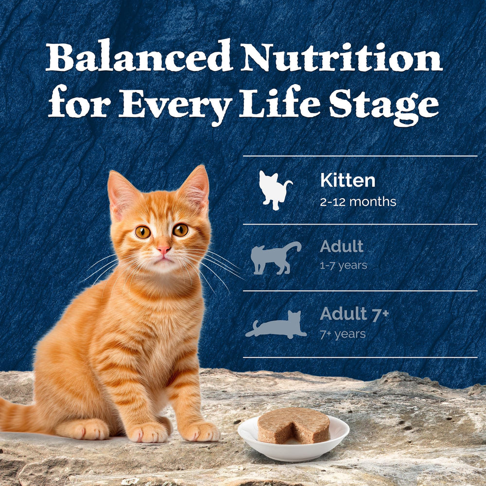 Blue Buffalo Wilderness Kitten Oméga3 lin, peau et pelage sains