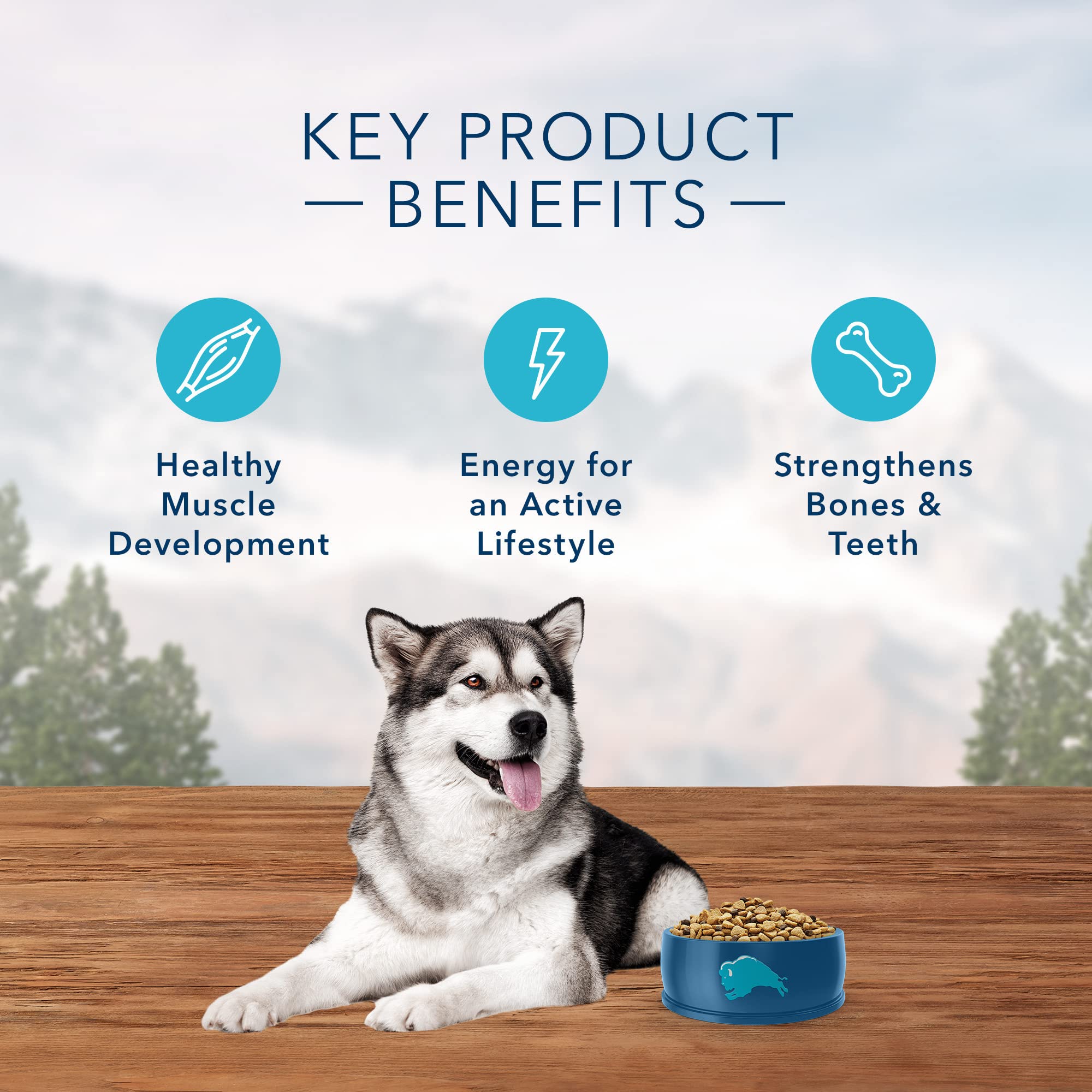 Blue Buffalo Wilderness LifeSource Bits, antioxydants et nutriments sélectionnés.