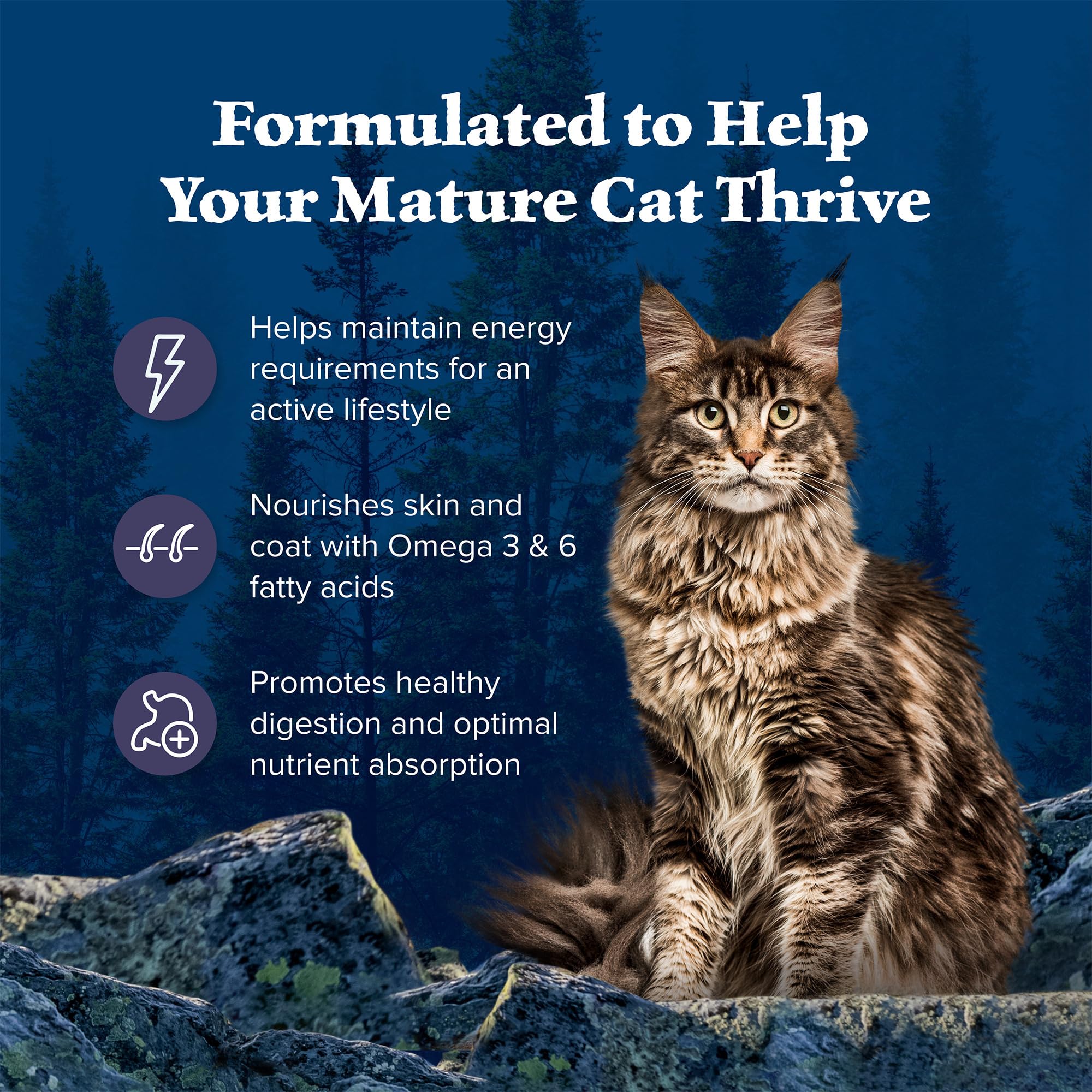 Équilibre oméga-3 et oméga-6 pour le pelage et la peau des chats matures.