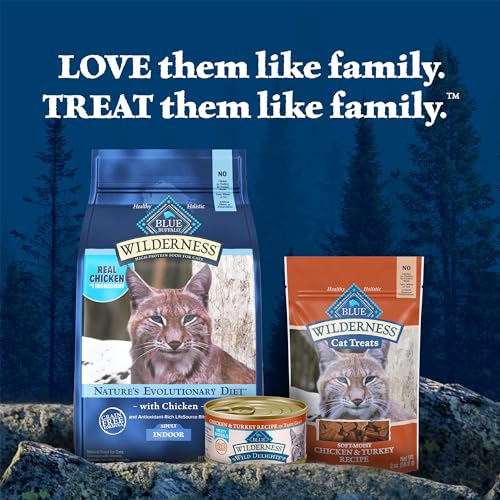 Sachet Blue Buffalo Wilderness pour récompenser votre chat pendant le jeu.