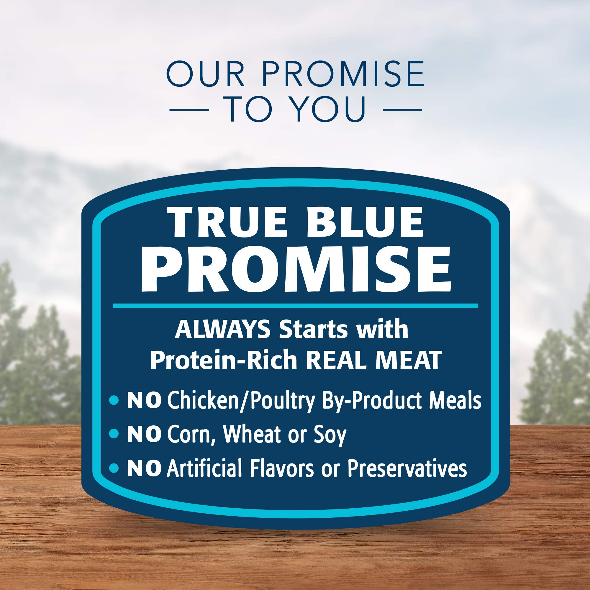 Blue Buffalo Wilderness Pâté dinde : protéines naturelles et digestibilité