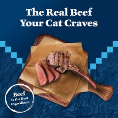 Blue Buffalo Wilderness pâté viande rouge – boeuf et dinde pour chat