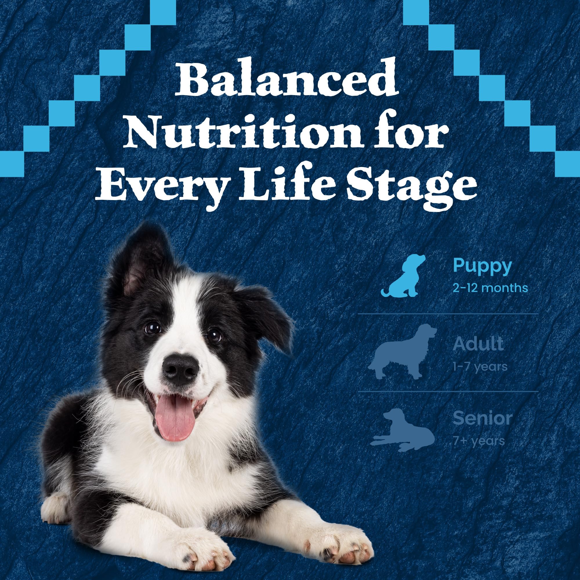 Blue Buffalo Wilderness Rocky Mountain Chiot – emballage clair et étiquetage